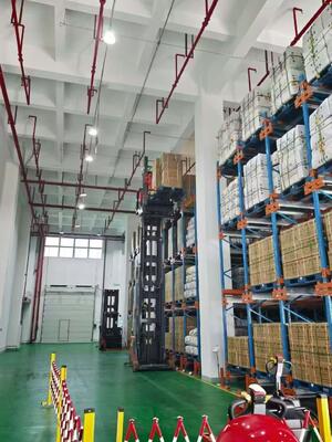 kupować Chiński Producent Palet Shuttle Racking System. produkcja online